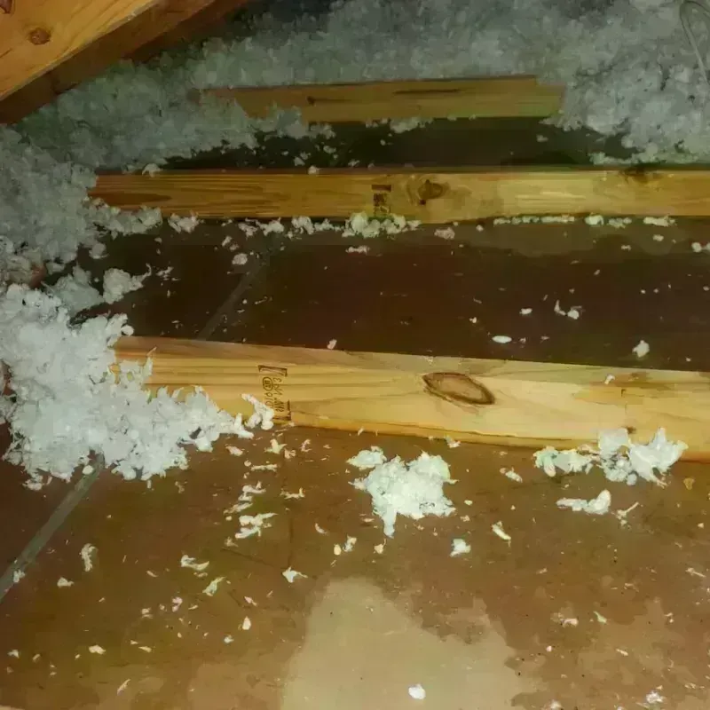 Attic Water Damage in Campbell County, TN